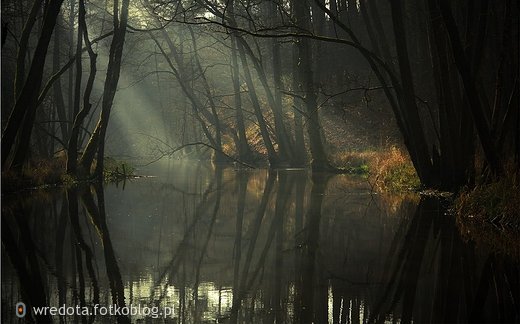 cichuteńko