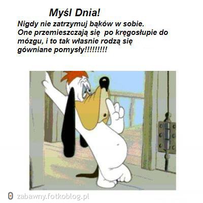 Myśl Dnia