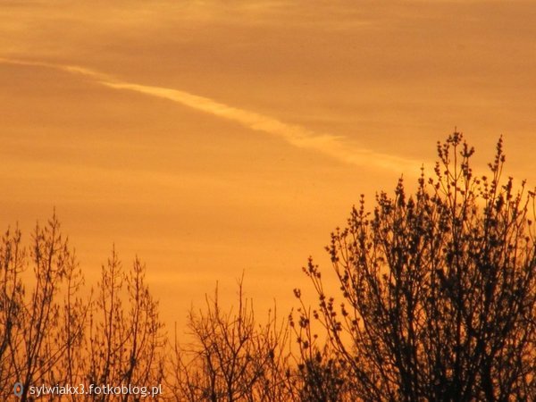 .. ze spokojnem zamknę oczy swe .. ♥