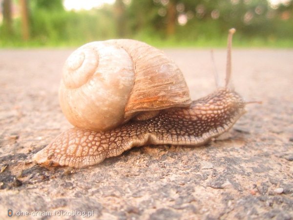 ciesz się póki możesz.. potem nie bedzie tak fajnie 