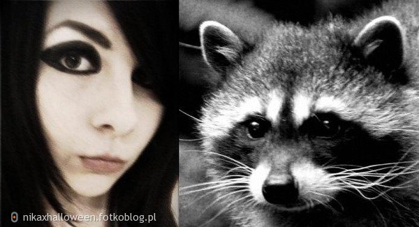 I love to look like a RACCOON =)