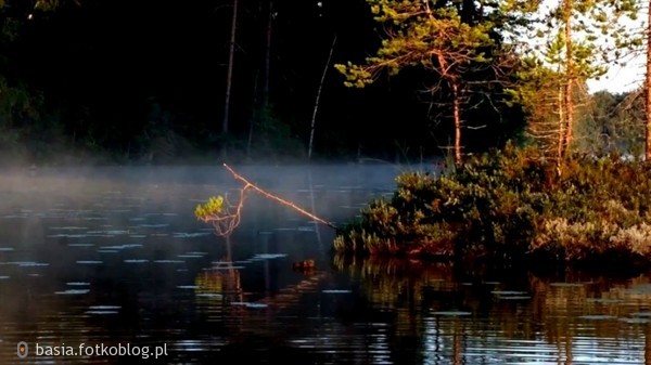 ...poranek..dzień sie budzi