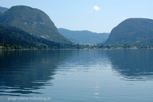 Jezioro Bohinjskie w Alpach Julijskich  .