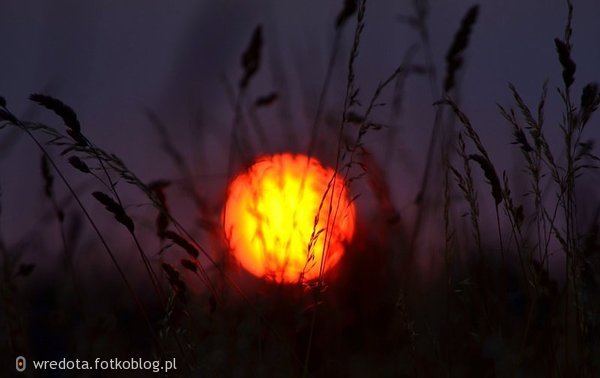 nadchodząca cisza....