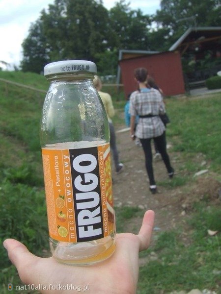 Ostatnie Zdjecie Frugo !!