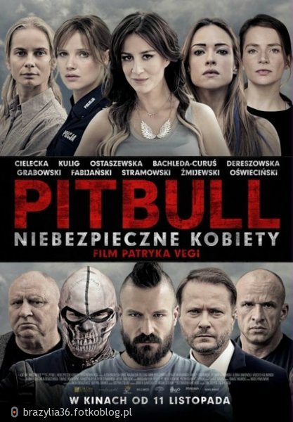 Pitbull. Niebezpieczne kobiety film, CDA, gdzie oglądać?