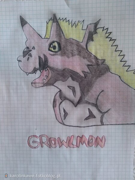 Growlmon's Face 