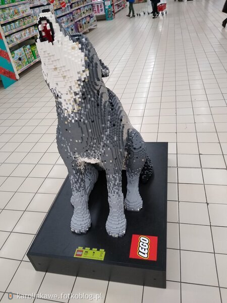 Wilk z klocków LEGO 