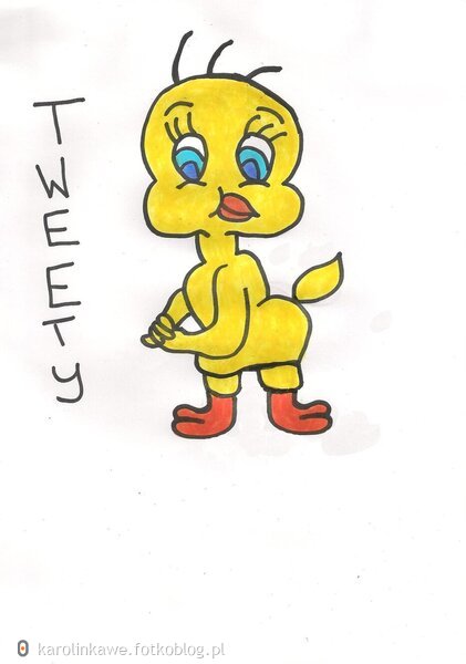 Ptaszek Tweety