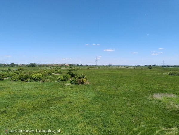 Widok z mostu na Wiśle (Nowe Brzesko - Ispina) - 4