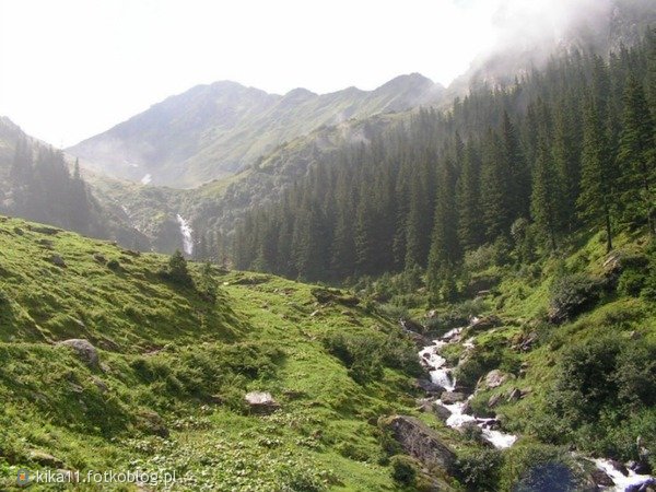 Bieszczady 2011r.