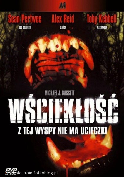 Wściekłość