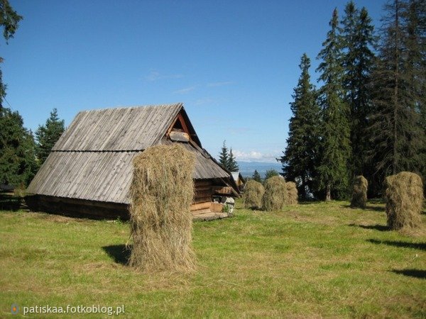 Patrzyli na te same góry, na te same drzewa, ale każde z nich widziało je inaczej. 