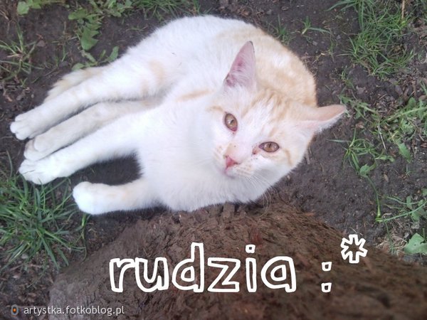 Rudzia :* 2