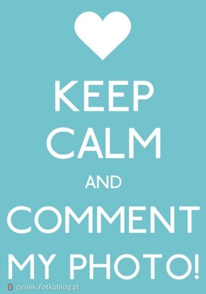 keep calm and comment my photo!