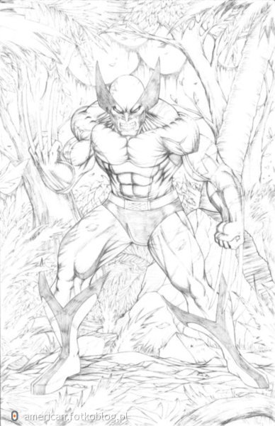 Wolverine...