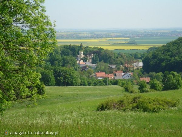 Widok na wieś 