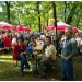 16.08.2014 Świętochłowice  :: 
16.08.2014 Festyn Dzielnicowy w Świętochłowicach 
Foto;Marek Chabrzyk
 