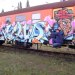 inowrocławskie graffiti   ::  